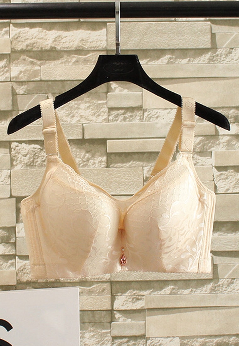 Picture of Large Size Lace Border Bra