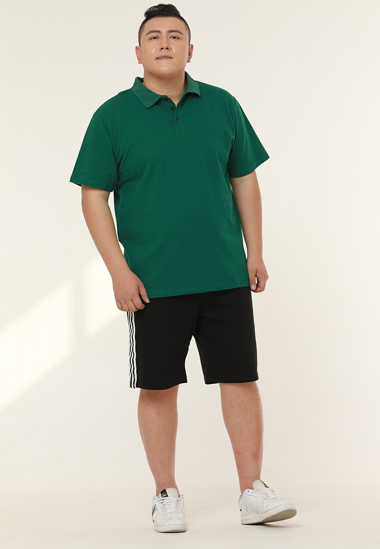 Picture of Side Stripe Plus Size Men Shorts