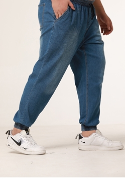 Picture of Plus Size Jeans Jogger
