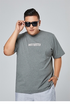 Picture of Plus Size Grey Print T-Shirt