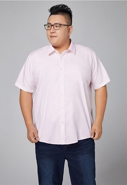 Picture of Cotton SS Shirt