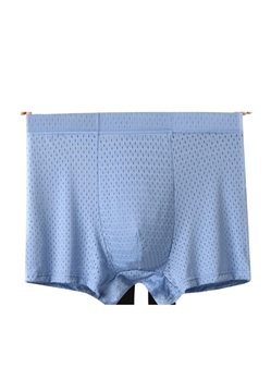 Picture of Plus-Size Men's Ice Silk Mesh Boxer Briefs