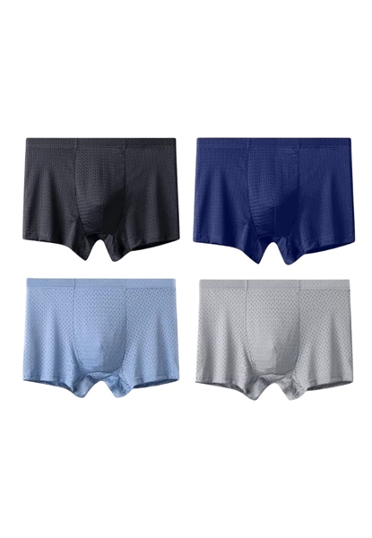 Picture of Plus-Size Men's Ice Silk Mesh Boxer Briefs