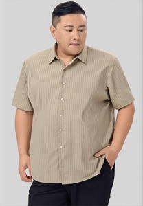 Picture of Men Stripe Short Sleeve Shirt