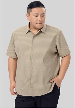Picture of Men Stripe Short Sleeve Shirt