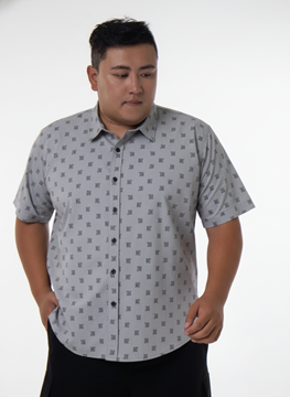 Picture of 【VIMEN】Iron Free SS Shirt