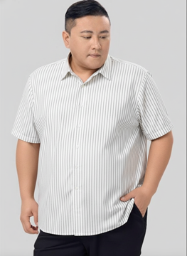 Picture of Men Stripe Short Sleeve Shirt